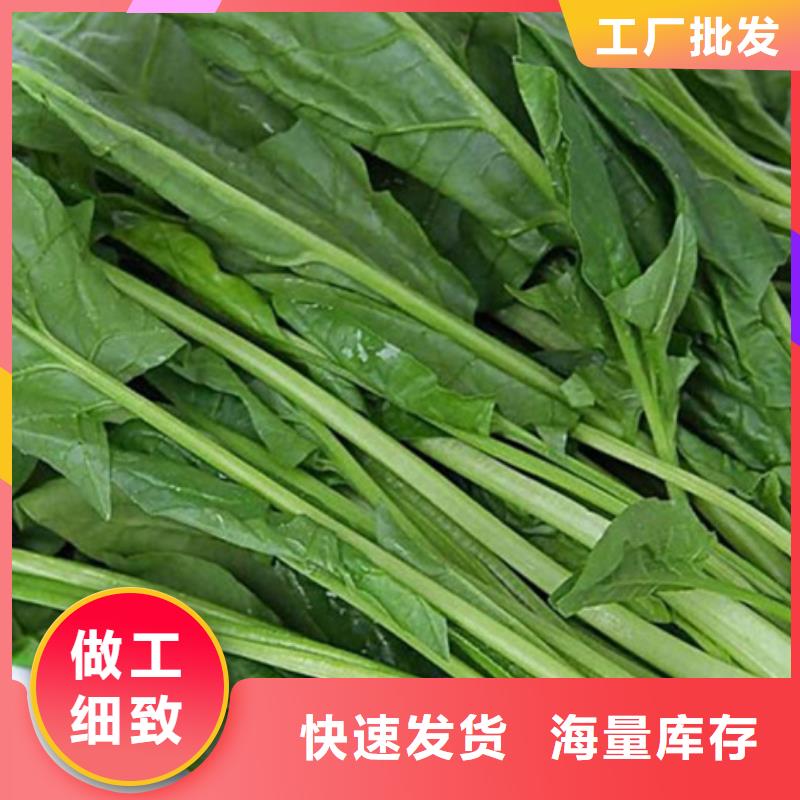 菠菜粉品质保证