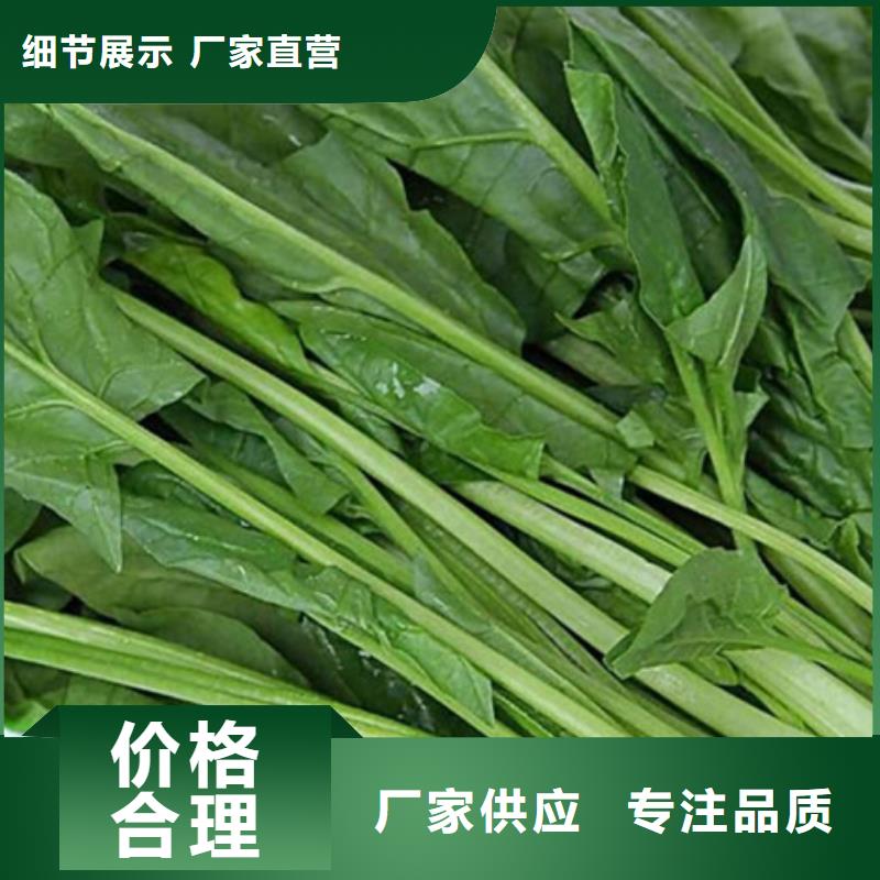 菠菜粉品质保障