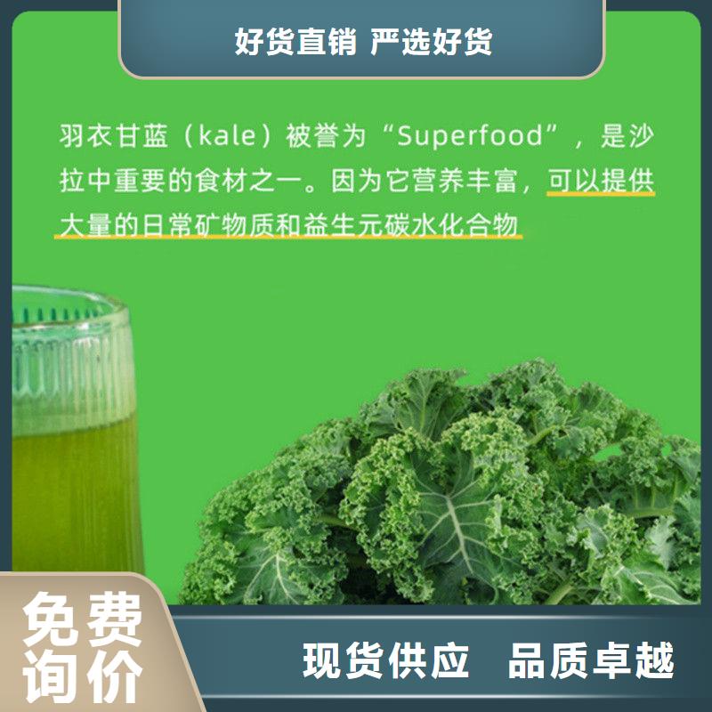 服务周到的羽衣甘蓝粉生产厂家