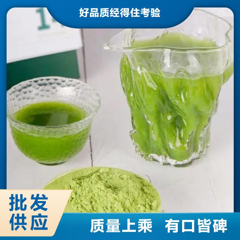 羽衣甘蓝库存充足