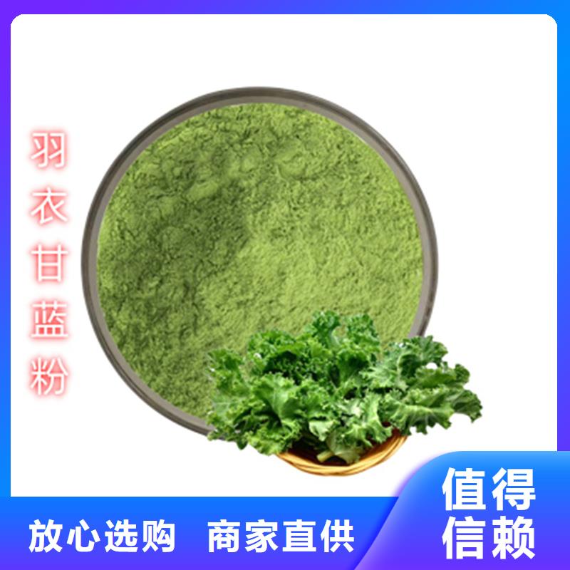 优质羽衣甘蓝粉的厂家