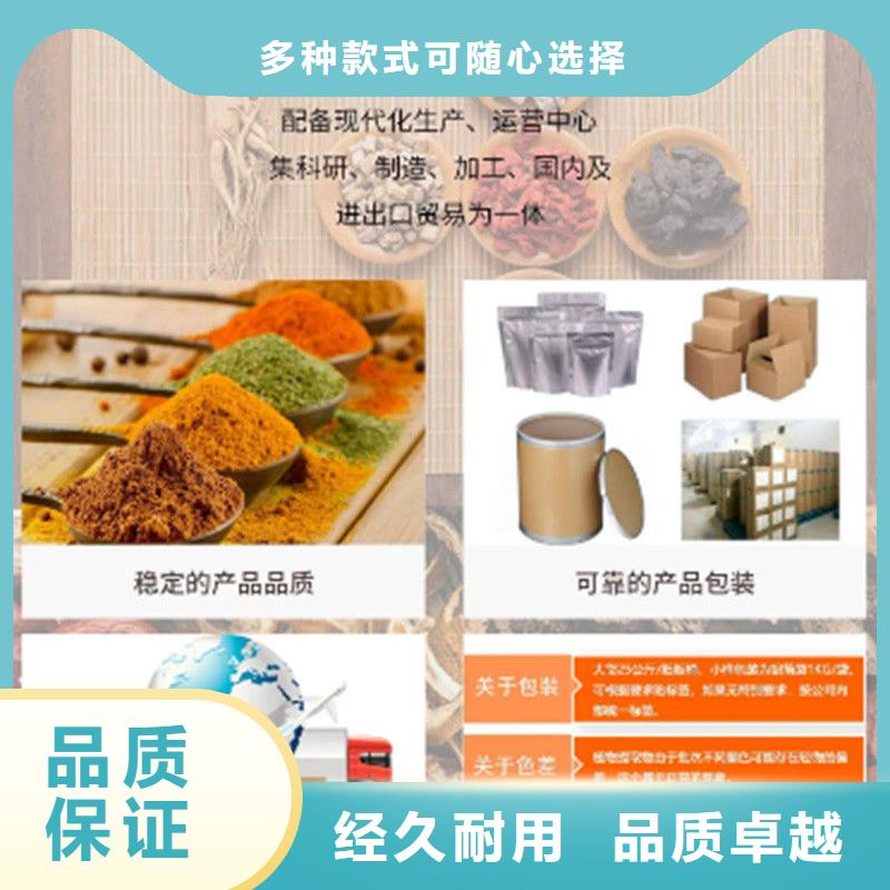 羽衣甘蓝粉老品牌高品质