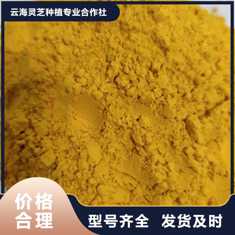 灵芝菌包-视频-临沧市灵芝菌包-云海灵芝种植专业社(临沧市分公司)服务区域凤庆|临翔|昆明|迪庆|楚雄|曲靖
