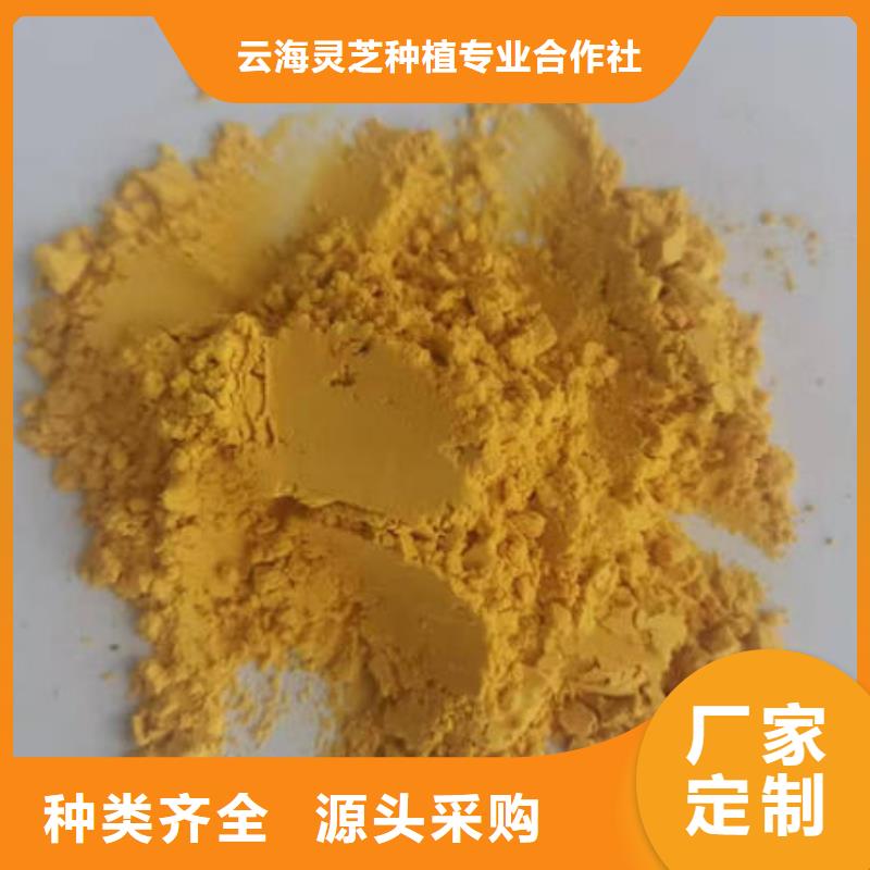 南瓜粉,灵芝菌包产地直销