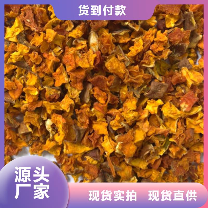 灵芝菌包-视频-广东省肇庆市|端州|四会|湛江|佛山|茂名|揭阳|韶关|惠州|珠海灵芝菌包-云海