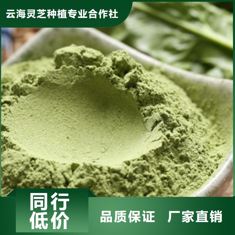 灵芝菌包视频-灵芝菌包-内蒙古鄂尔多斯市【该地】服务商-呼伦贝尔|乌兰察布|兴安|锡林郭勒|呼和浩特|乌海
