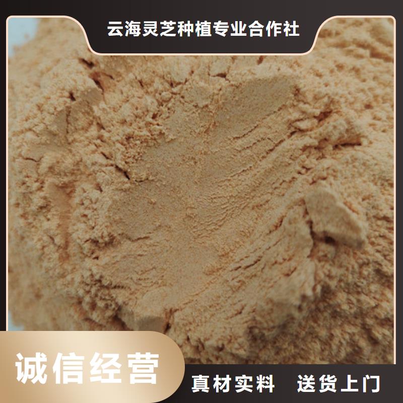 灵芝菌包视频-灵芝菌包-云海灵芝种植专业社(亳州市分公司)服务区域蒙城|利辛|淮北|池州|黄山|巢湖