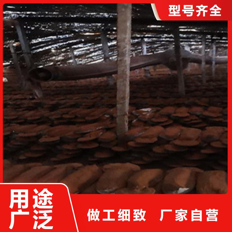 灵芝菌包-视频-灵芝菌包_江苏省扬州市市场覆盖宝应|江都|宿迁|淮安|苏州|南通|南京|常州|无锡等