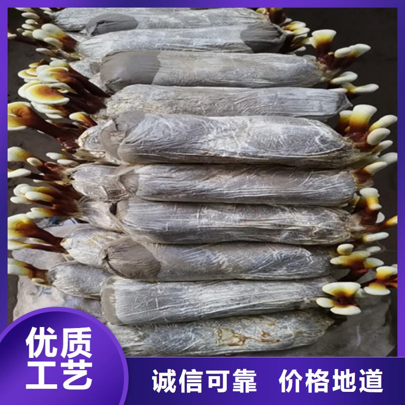 灵芝孢子粉【大别山灵芝】应用广泛