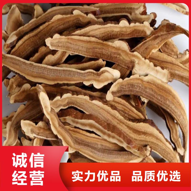 灵芝菌包视频-灵芝菌包|扬州市|仪征|江都|南通|宿迁|苏州|常州|徐州