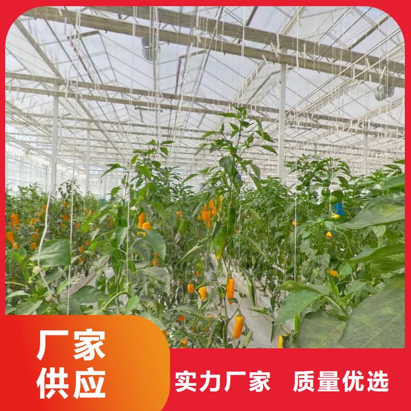 【大棚管】连体大棚层层质检