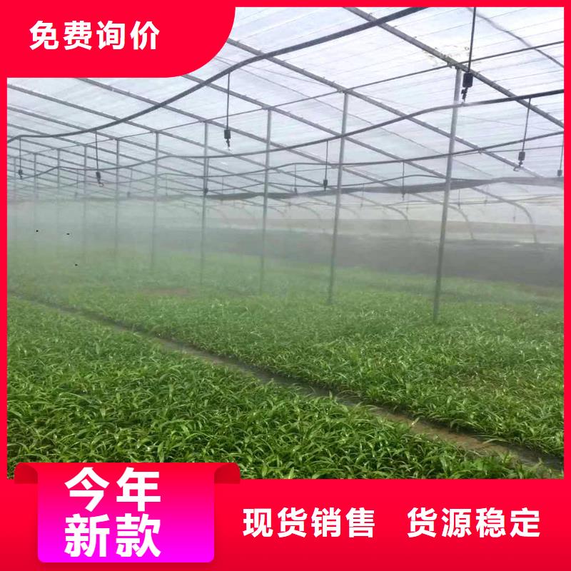 大棚管连栋大棚管敢与同行比价格