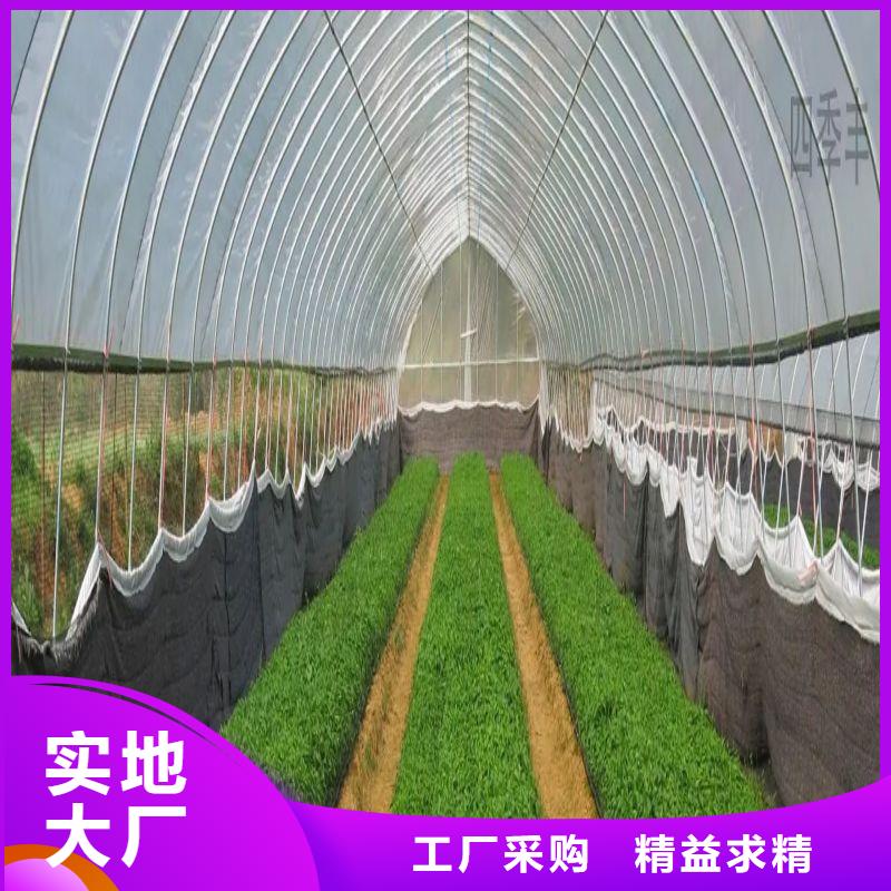 连栋大棚管-视频-南岳|珠晖|株洲|永州|岳阳|娄底|怀化|邵阳泽沃连栋大棚管_ 泽沃特钢(衡阳市分公司)