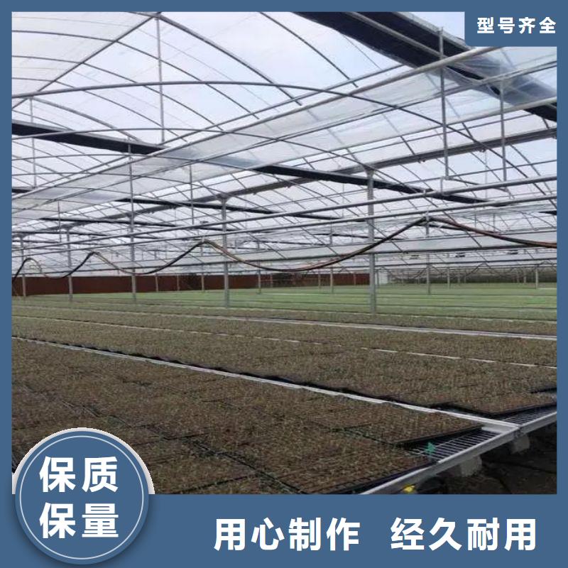 连栋大棚管-视频-连栋大棚管-泽沃特钢(荆门市分公司)服务区域钟祥|掇刀|随州|黄冈|恩施|鄂州|襄阳