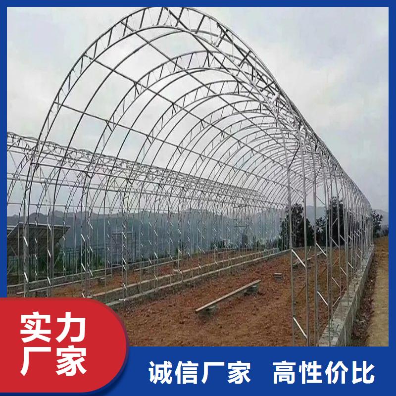 连栋大棚管-视频-内蒙古通辽市|阿拉善|呼伦贝尔|包头|呼和浩特|乌兰察布|赤峰连栋大棚管-泽沃
