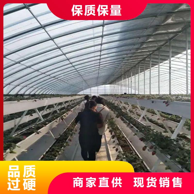 大棚管2-方管丰富的行业经验