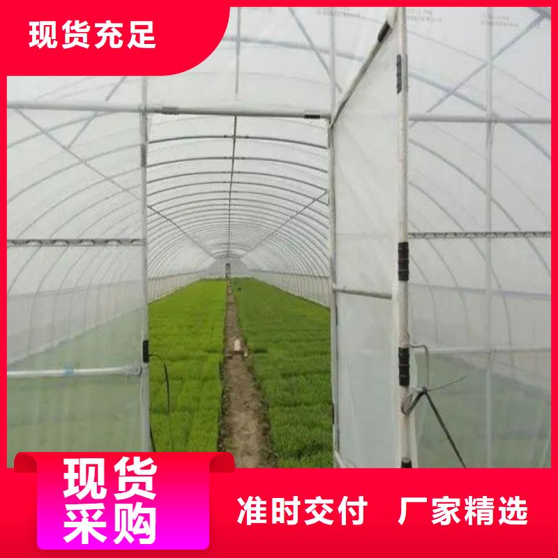 连栋大棚管-视频-内蒙古通辽市|阿拉善|呼伦贝尔|包头|呼和浩特|乌兰察布|赤峰连栋大棚管-泽沃