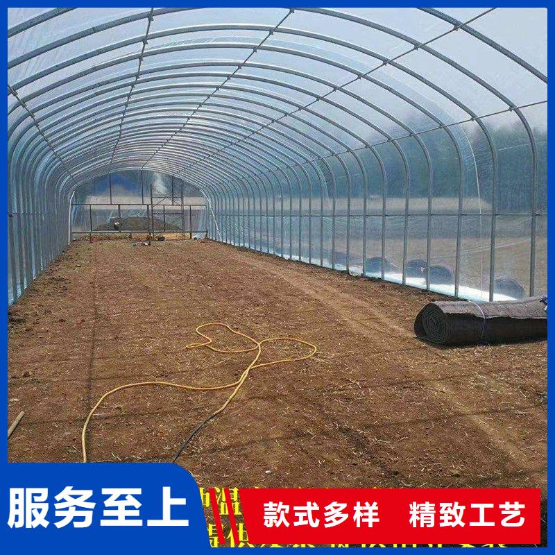 大棚管2 大棚管实地大厂