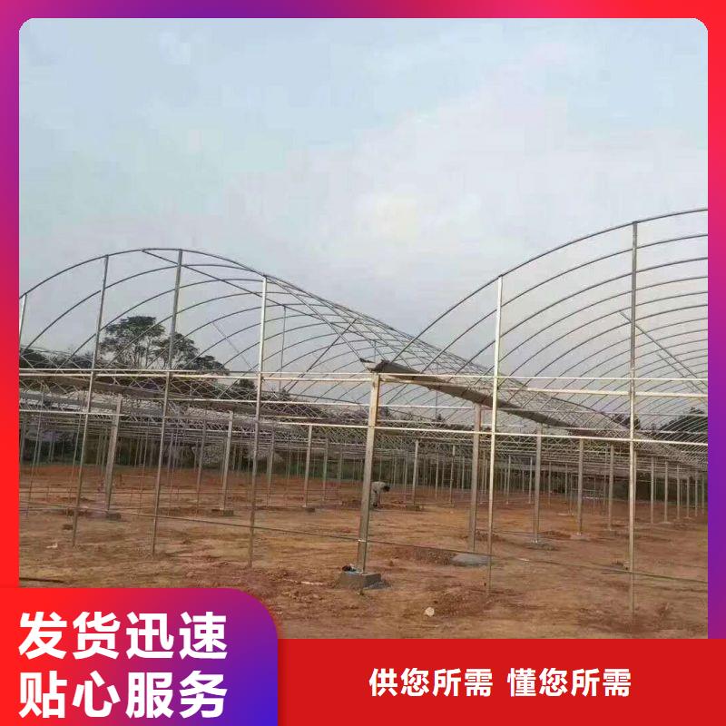大棚管2_大棚管工厂直销