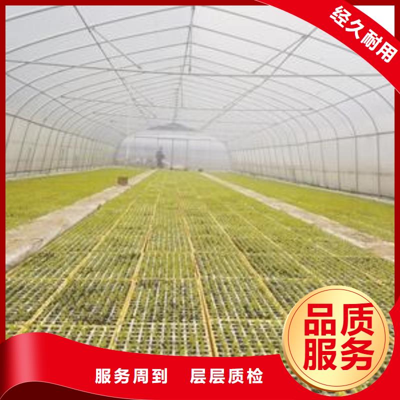 欢迎新老客户垂询大棚管3
蔬菜温室大棚管价格有优势-泽沃特钢有限公司
