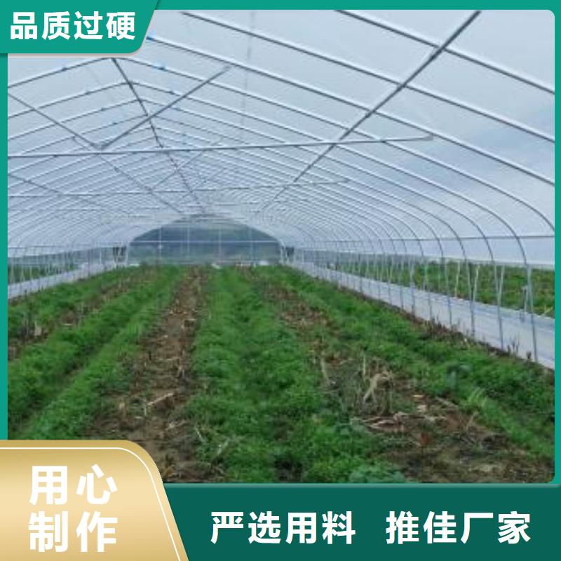 【大棚管】连体大棚专业信赖厂家