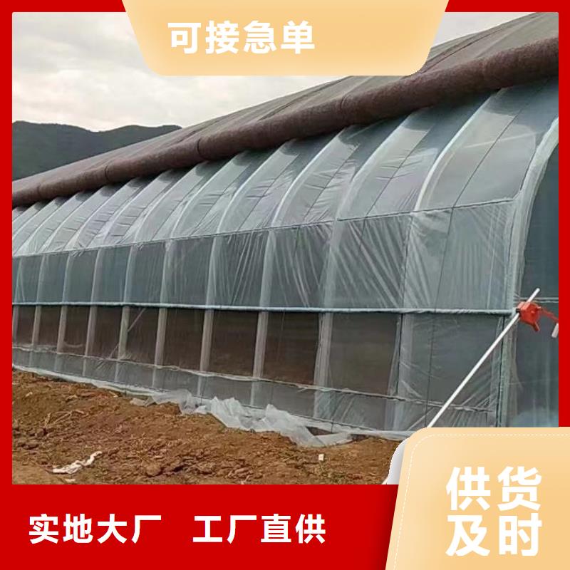 【大棚管连栋温室搭建满足多种行业需求】