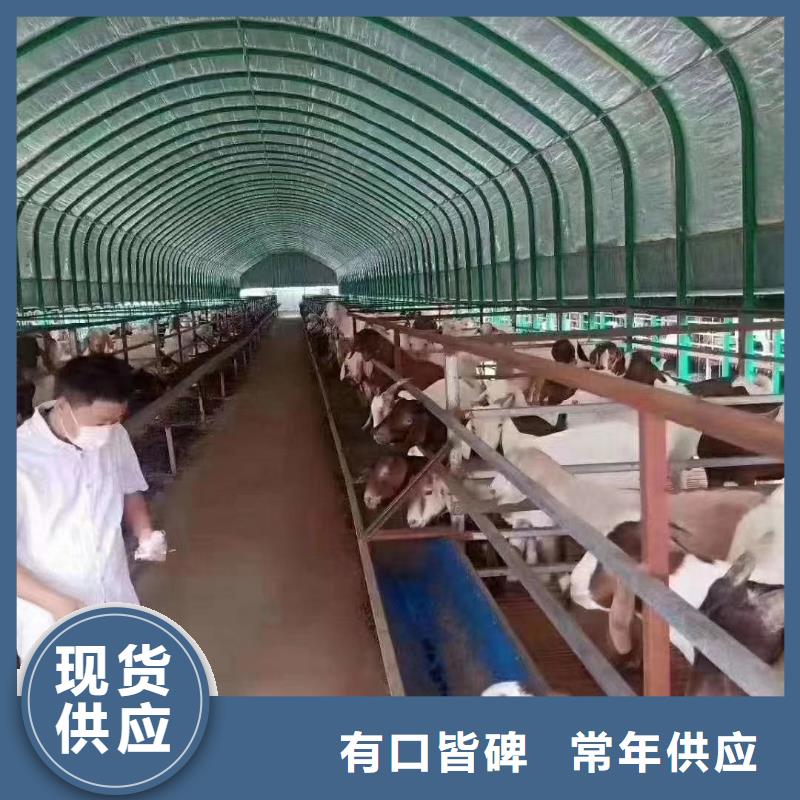 大棚管镀锌大棚管为您提供一站式采购服务