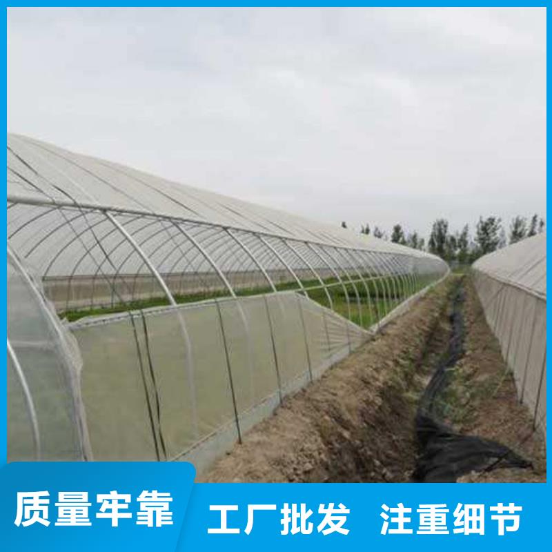 大棚管 温室大棚管专业品质