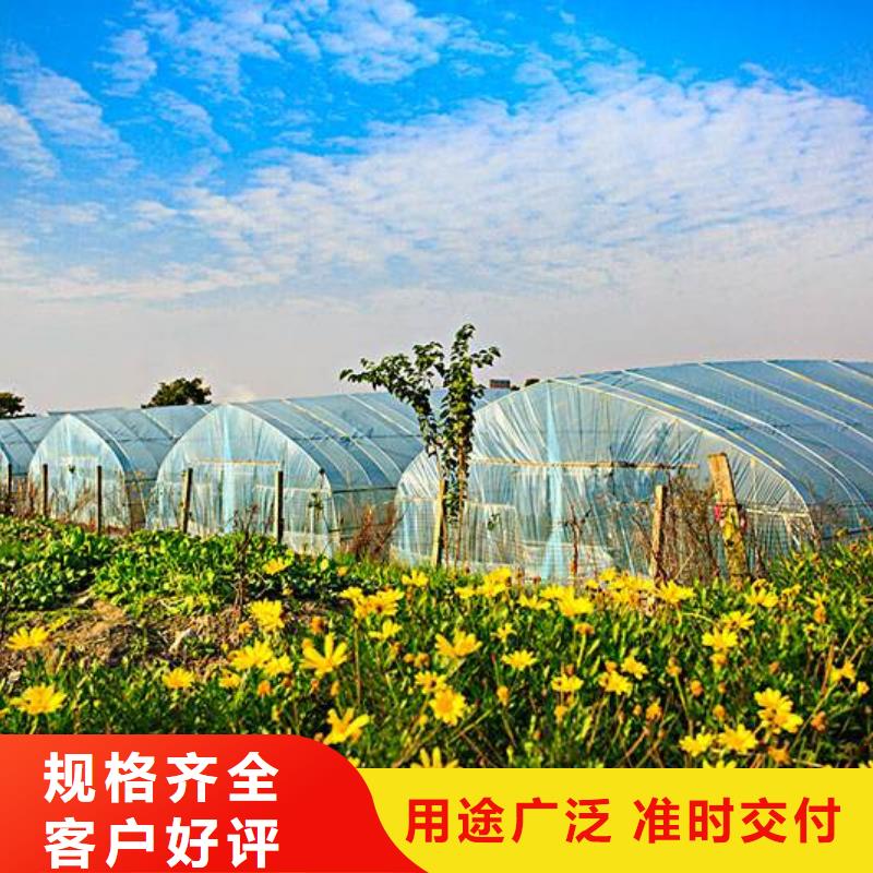 连栋大棚管-视频-戚墅堰|新北|南京|宿迁|苏州|淮安|连云港|扬州连栋大棚管专业生产厂家-泽沃特钢(常州市分公司)
