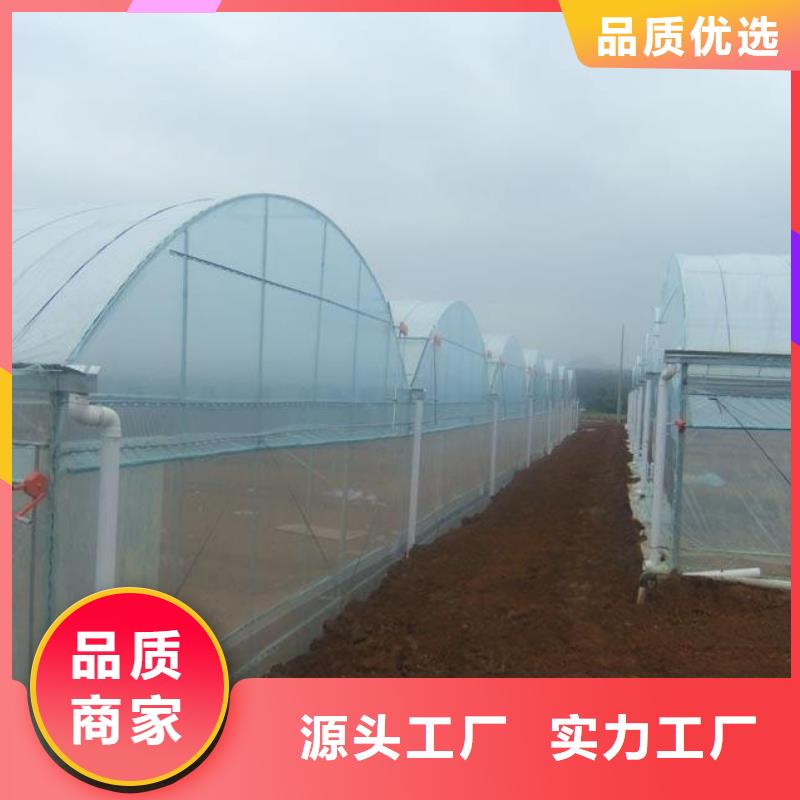  大棚管厂家货源稳定