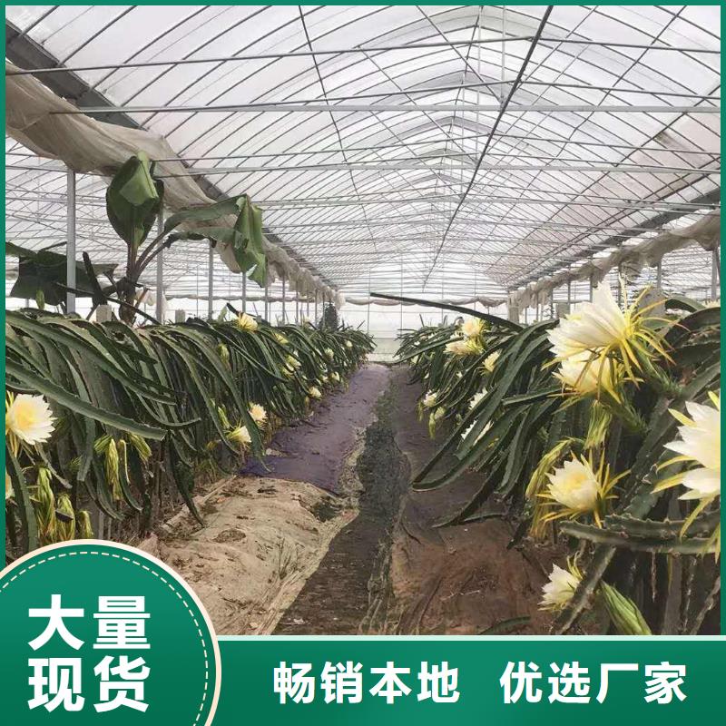 大棚管_农业养殖大棚管现货充裕