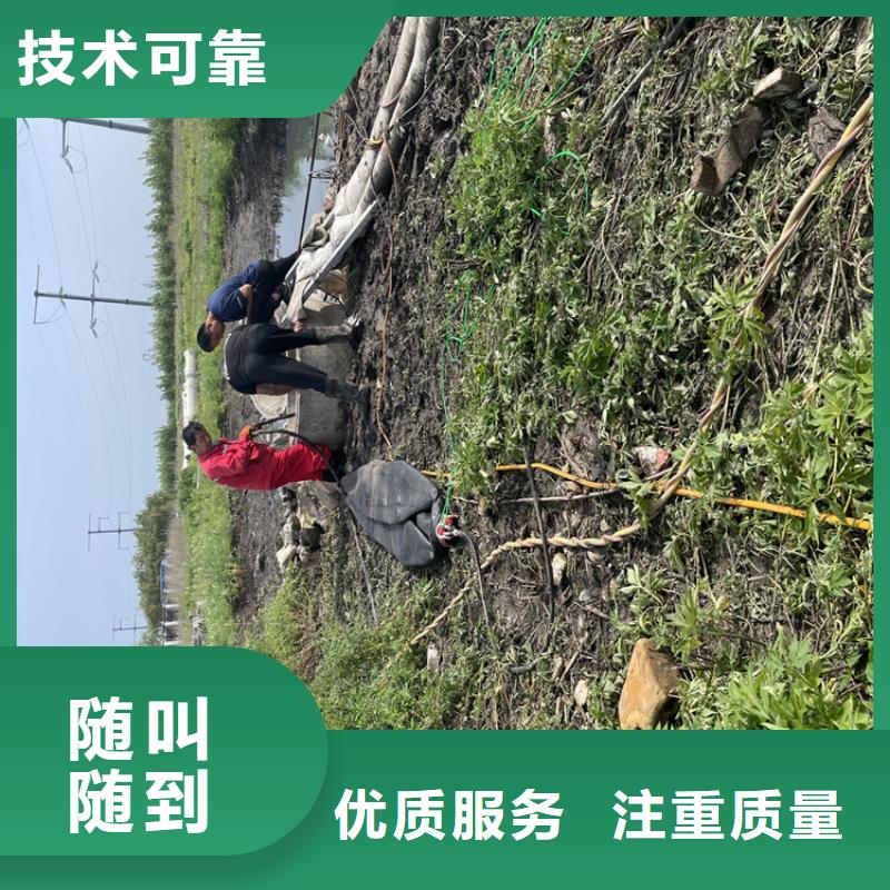 保亭县水下护坡模袋施工 本地施工队