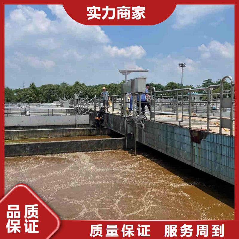 桥桩桥墩水下检测录像公司详情来电