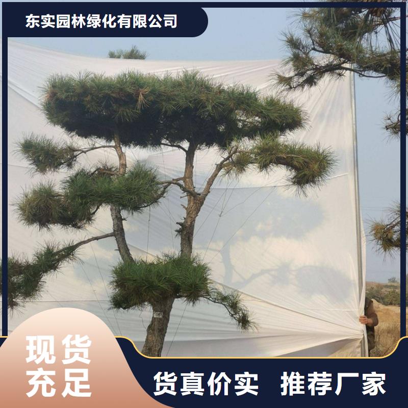  造型松量少也做
