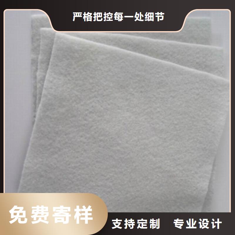 土工布PP焊接土工格栅支持定制