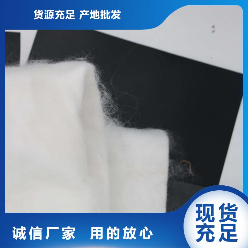 土工布长丝土工布好品质用的放心