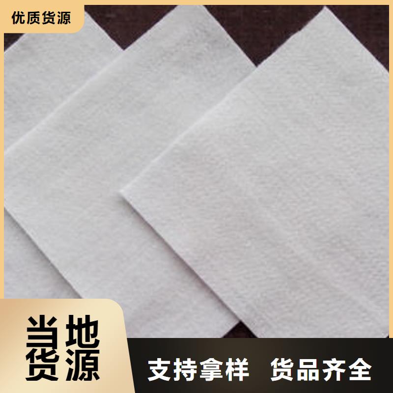 土工布PP焊接土工格栅支持定制