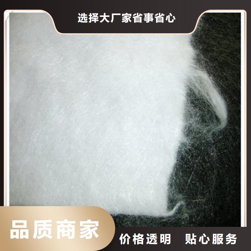 土工布PP焊接土工格栅支持定制