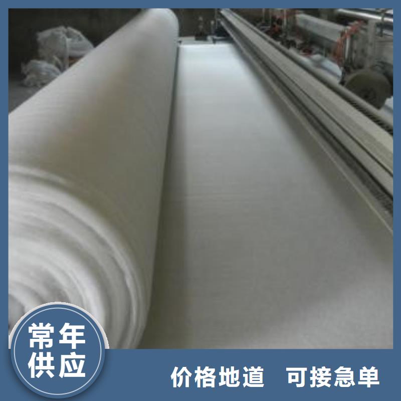 土工布_涤纶土工格栅多种工艺