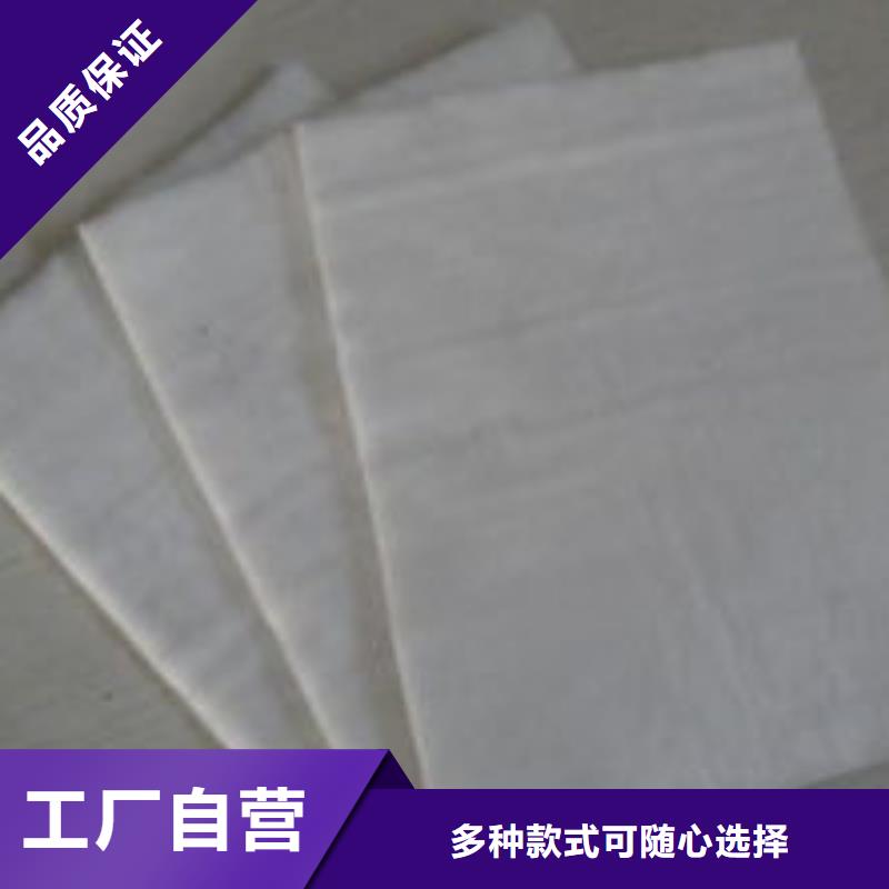 土工布PP焊接土工格栅支持定制