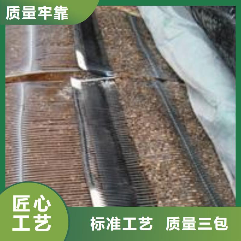 单向塑料土工格栅塑料土工滤网精心