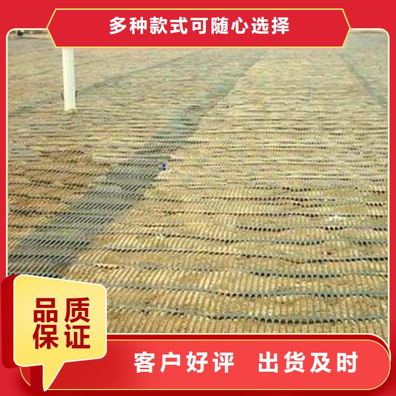 双向塑料土工格栅视频-青海省玉树市恒丰双向塑料土工格栅可服务区域海北|黄南|海东|果洛|海南|海西|西宁等
