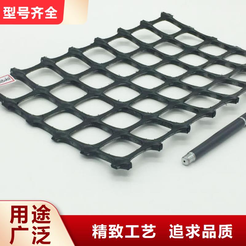 欢迎来厂考察【双向塑料土工格栅】 三维植被网真材实料诚信经营_恒丰塑业有限公司