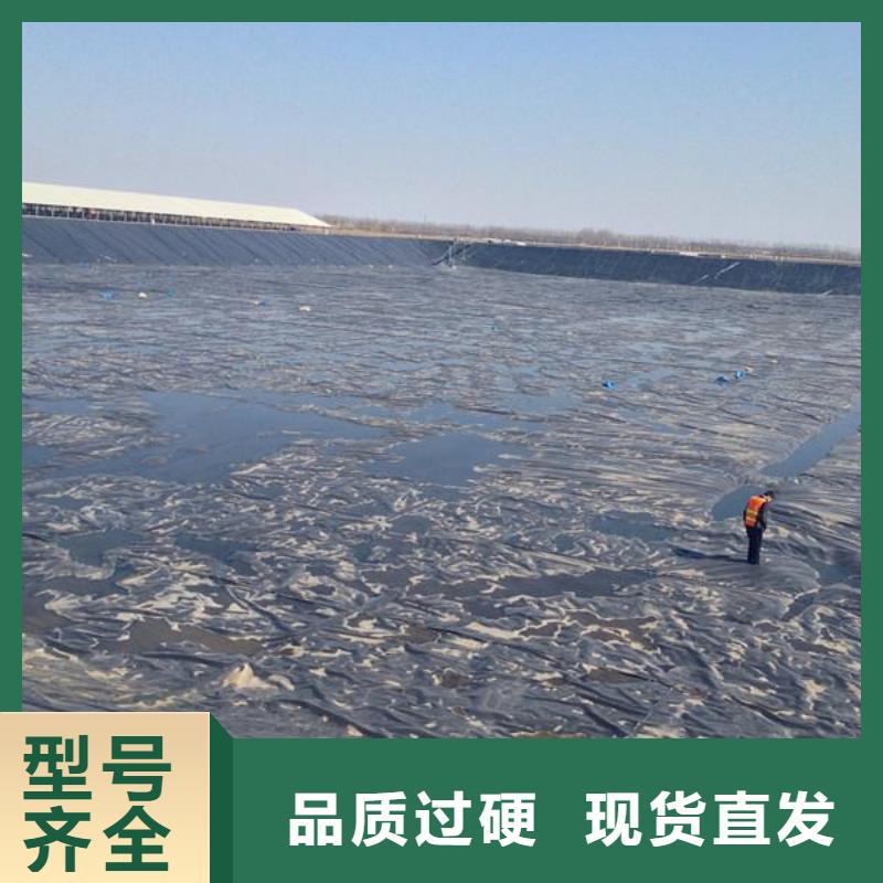 恒丰【设计制造销售服务一体 土工膜,土工布工厂现货供应】、现货齐全售后无忧-【当地】服务商