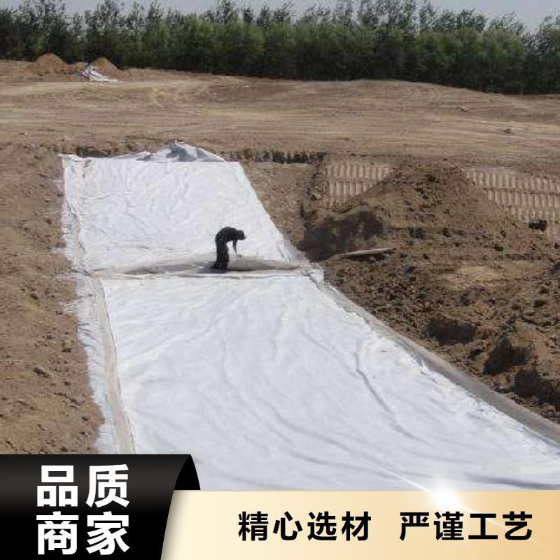 复合土工膜土工HDPE膜大厂生产品质