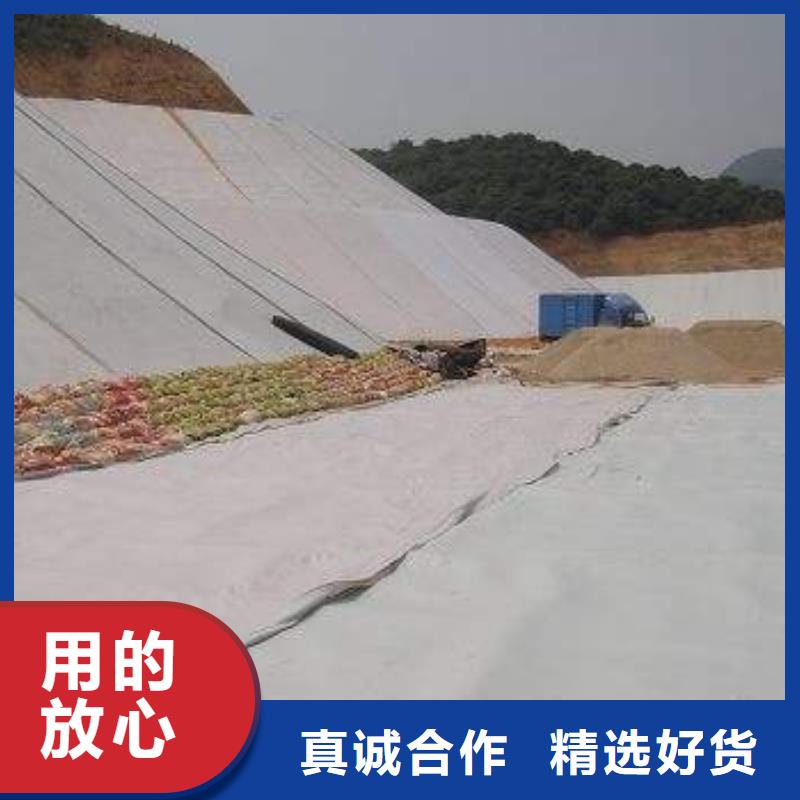 双向塑料土工格栅视频-双向塑料土工格栅-内蒙古乌兰察布市包头|阿拉善|呼和浩特|呼伦贝尔|赤峰|乌海|兴安【此地】供应商