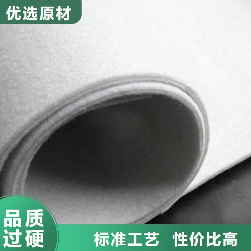 双向塑料土工格栅视频-双向塑料土工格栅-内蒙古乌兰察布市包头|阿拉善|呼和浩特|呼伦贝尔|赤峰|乌海|兴安【此地】供应商