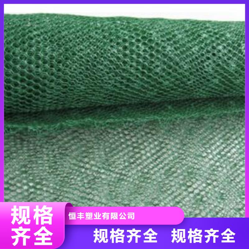 三维植被网,塑料盲沟设计合理