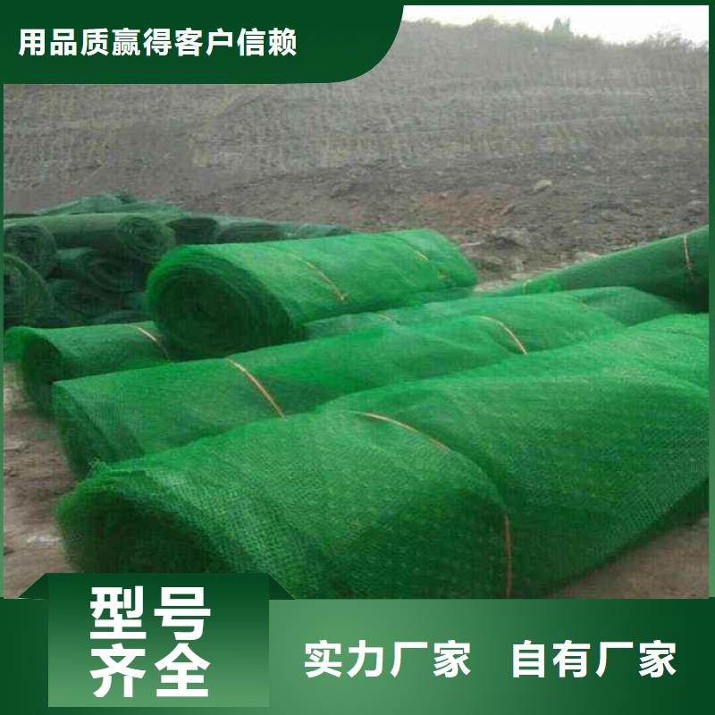 三维植被网城建土工膜无中间商厂家直销