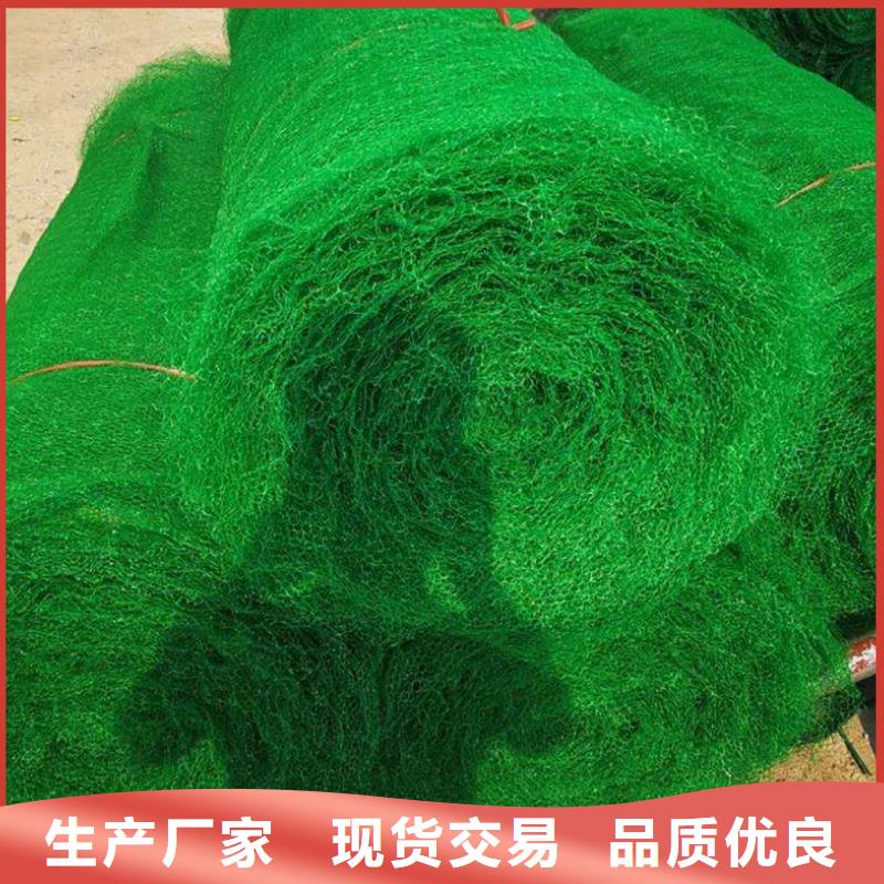 双向塑料土工格栅-视频-双向塑料土工格栅(恒丰)覆盖地域贵州省黔东南市天柱|凯里|安顺|贵阳|遵义|黔南|毕节